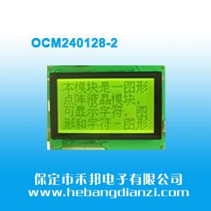 OCM240128-2 SG5V(COB) S